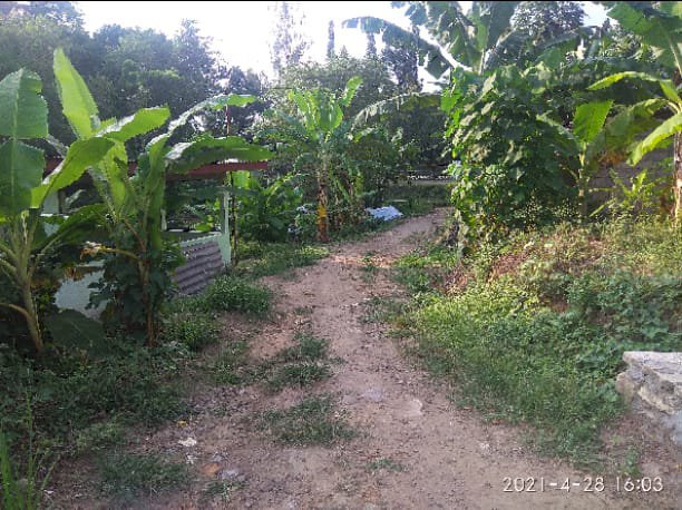 Tanah murah deket embung gagak suro godean