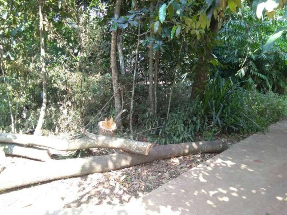 Jual murah kav. SUKAMAJU IX di Cibitung- Tambelang