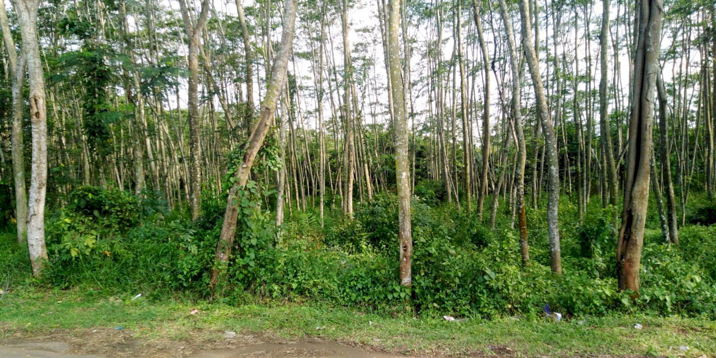 Tanah strategis di Batang