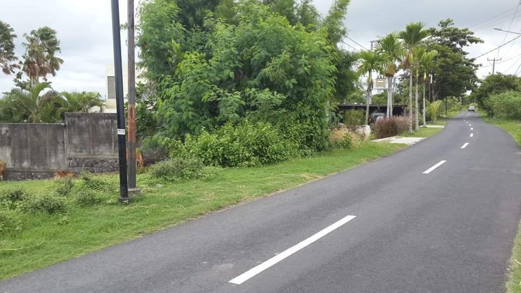 TANAH PREMIUM PERERENAN JALAN UTAMA 26 ARE