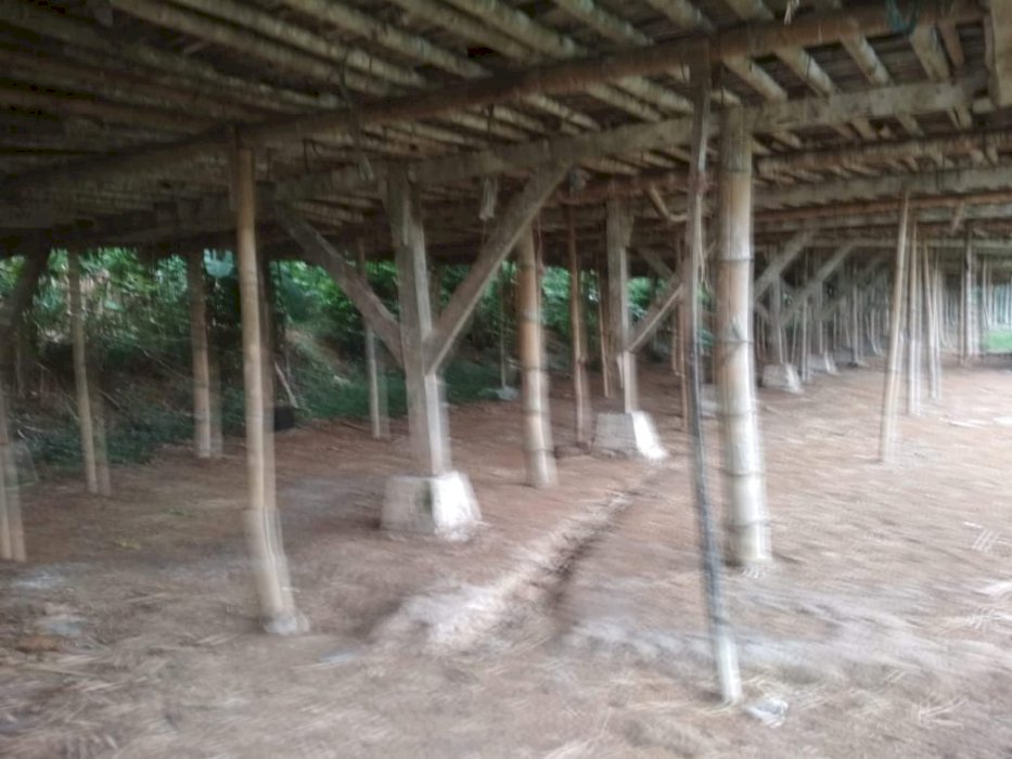 Dijual tanah ternak di Limbangan