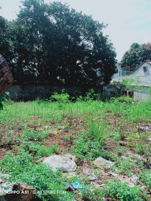 Dijual cepat tanah kav siap bangun, Veteran depan RS. Suyoto Jakarta Selatan