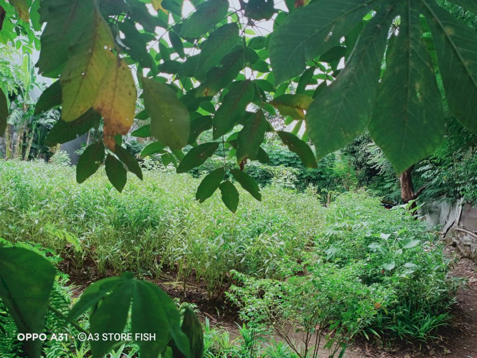 Dijual kav siap bangun Joglo, Jakarta barat
