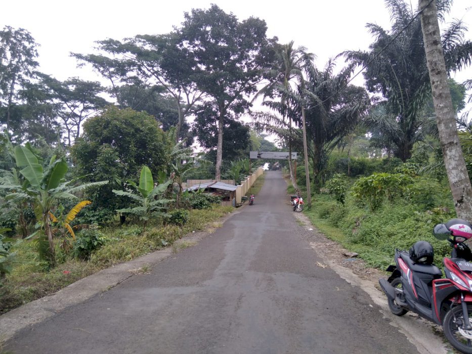 Dijual tanah di nglimut