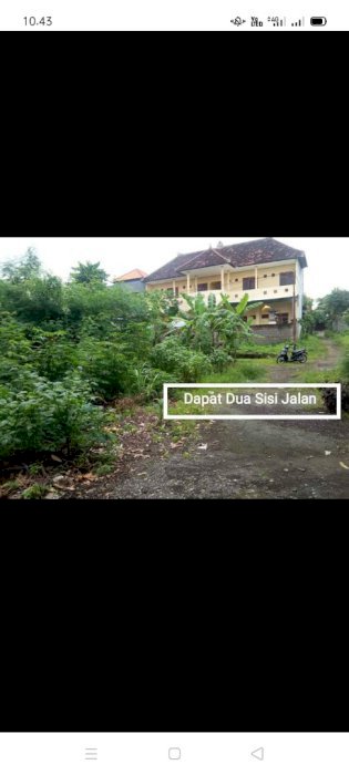 Jual tanah di Bali Buleleng singaraja