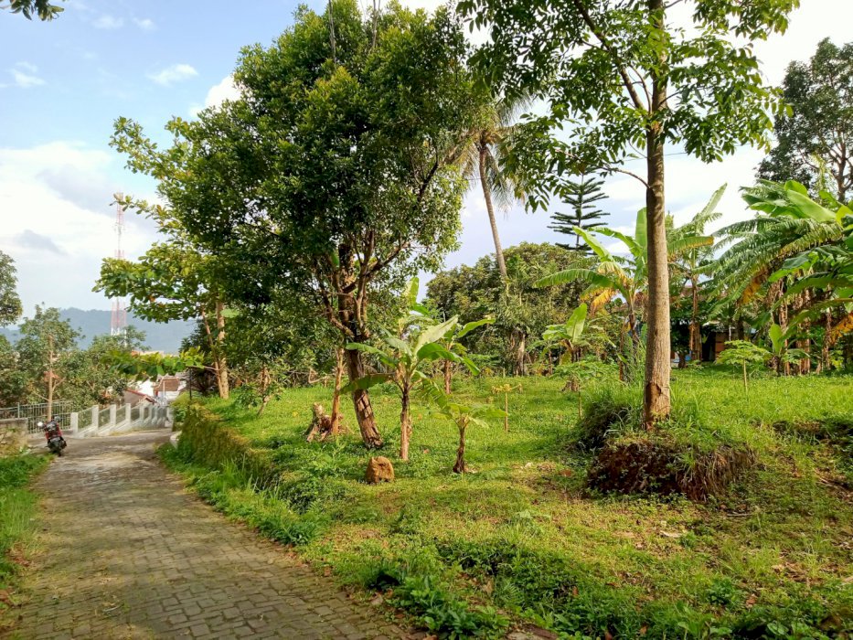 Tanah Jimbaran bandungan