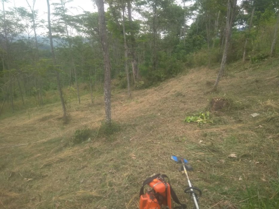 Jual Tanah Garapan Murah Lok.Bogor