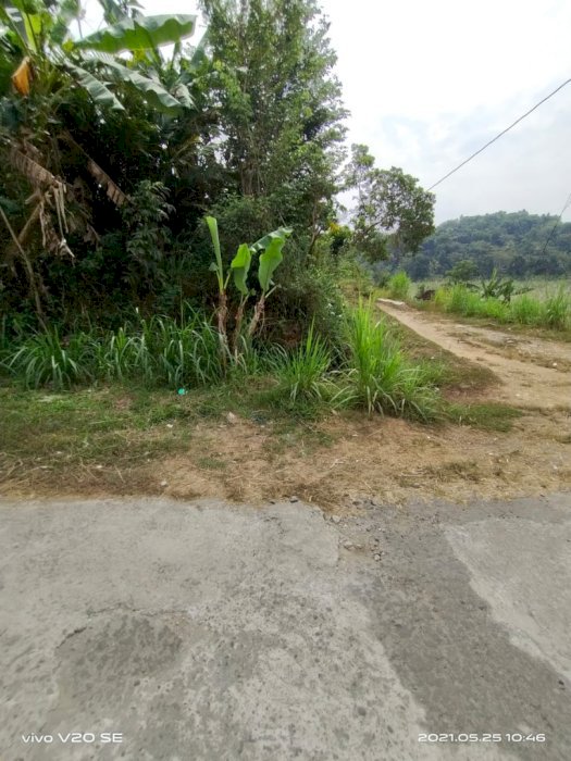 Tanah murah pemandangan sawah