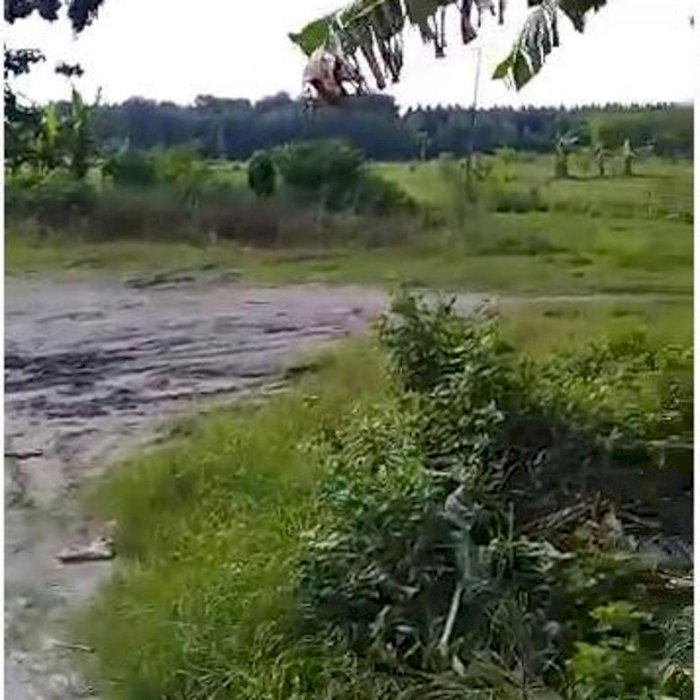 BU Tanah luas murah 0 Jalan (jalur Bojonegoro Tuban) Lamongan