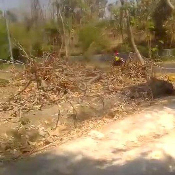 Tanah Luas Dekat Jalan Raya Tuban cocok untuk perumahan, pabrik atau gudang