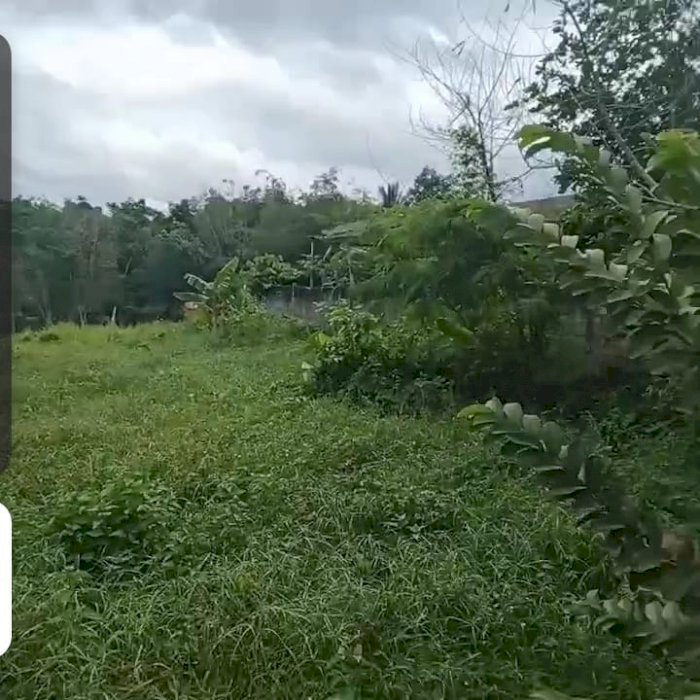 Abu adzril properti syariah