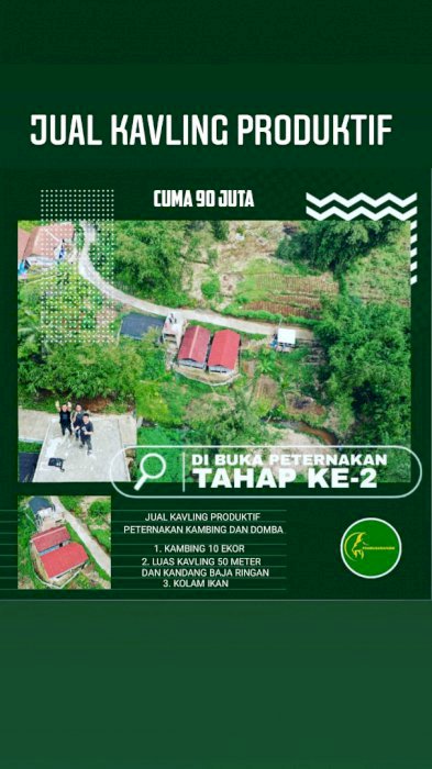 Beli KAVLING PRODUKTIF UNTUK BREEDING KAMBING DAN DOMBA BONUS TV