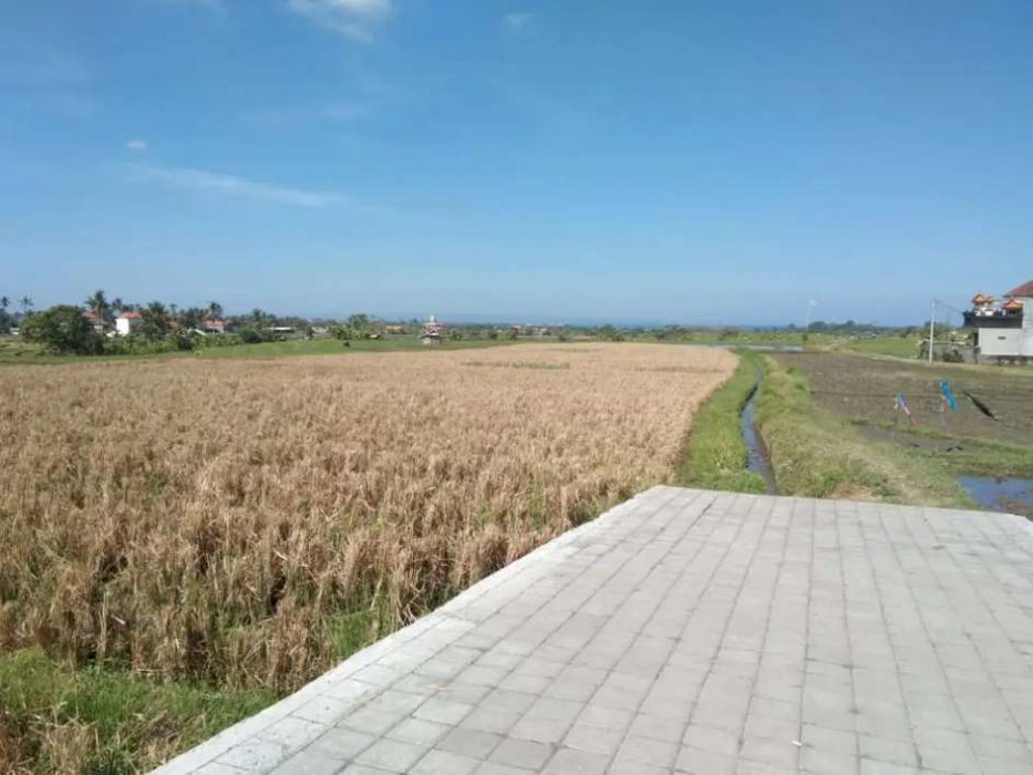 Di jual tanah 54 are