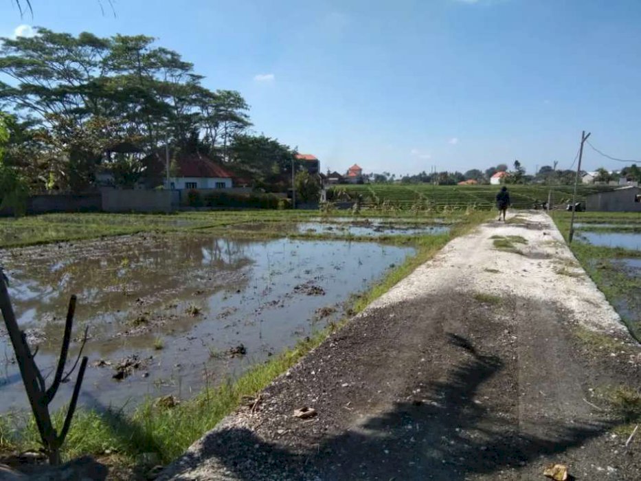 Disewakan tanah dekat pantai 17 are