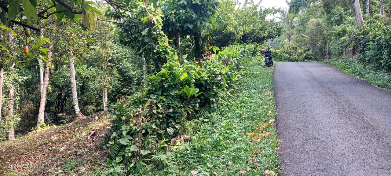 TANAH MURAH DI SELEMADEG, TABANAN