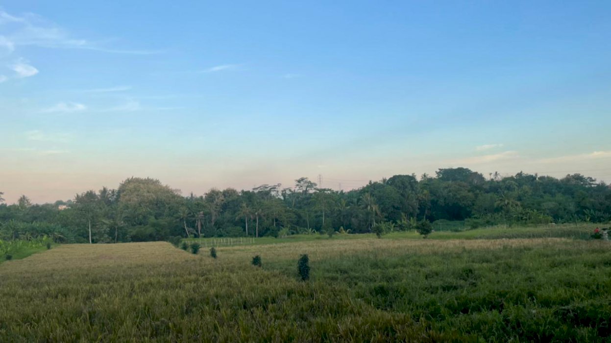 DIJUAL TANAH MURAH STRATEGIS DEKAT PANTAI DI DENPASAR BALI