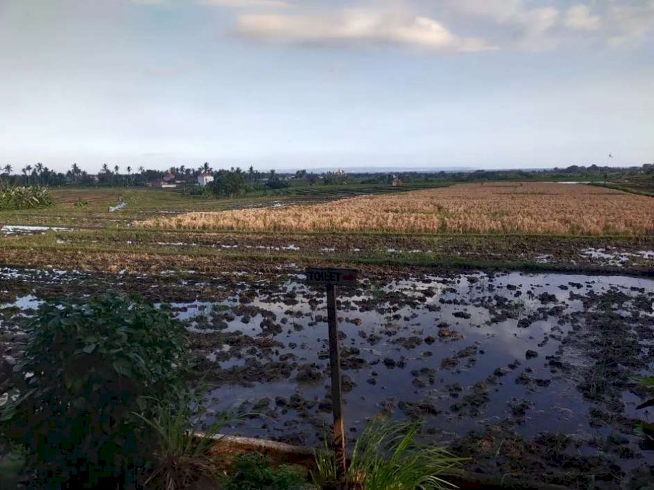 DISEWAKAN TANAH 8 ARE VIEW PANTAI