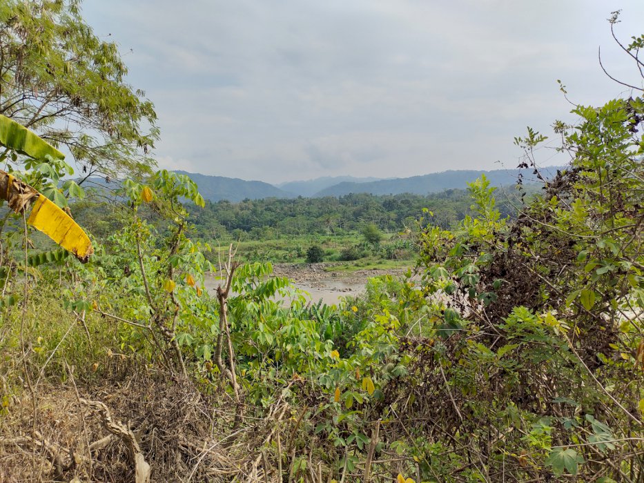 Tanah murah pemandangan sungai progo dan sawah