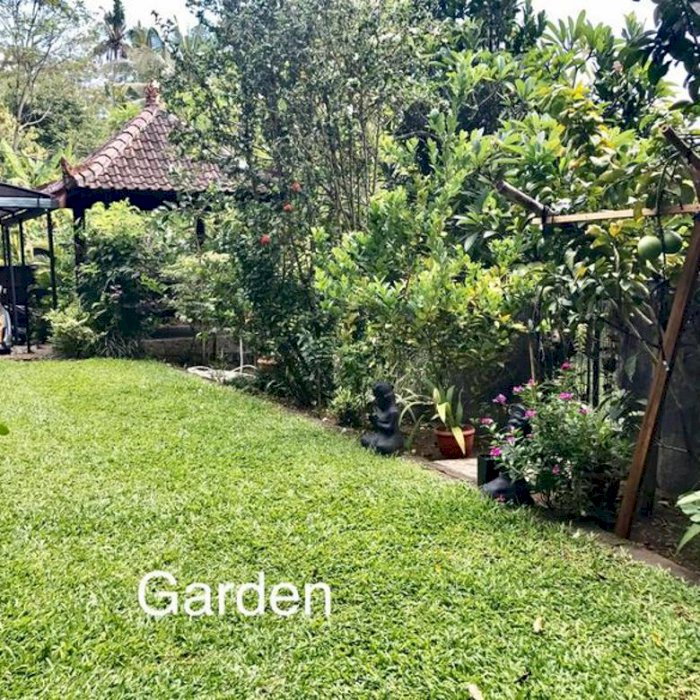 Rumah cantik terawat dengan lahan luas dan suasana pedesaan