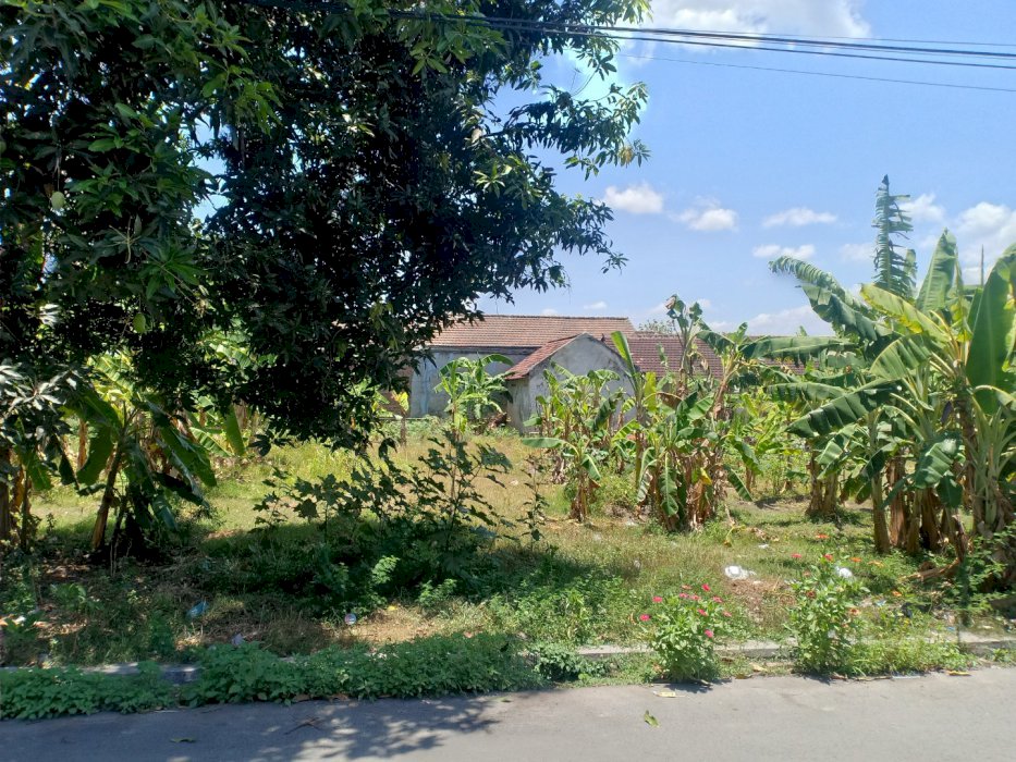 Jual tanah kemangsen, Balongbendo.krian, sidoarjo