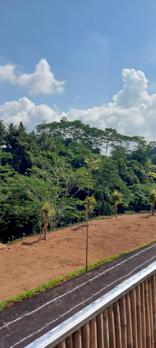 Tanah los sungai view alami dekat ubud