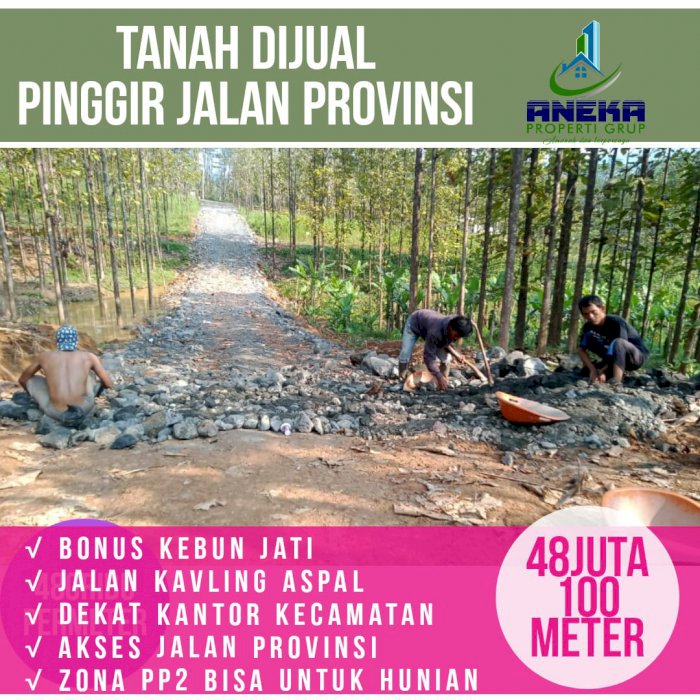 DIJUAL CEPAT TANAH KAVLING MURAH SHM PINGGIR JALAN PROVINSI
