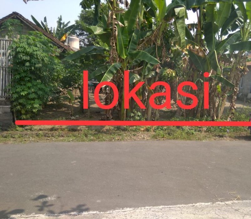 Tanah Termurah Dkt Kantor LPMP Kalasan Sleman Cck Bangun Rumah