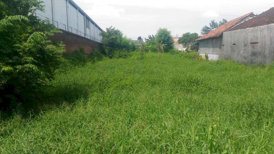 Dijual Tanah Nol Jalan Raya Raci,  Kecamatan Benowo Lokasi Strategis