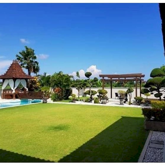 Villa CANGGU view sawah TUMBAK Bayuh Bali
