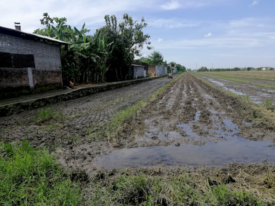 Tanah Bekas Sawah di Balong Bendo Sukodono Sidoarjo murah saja hanya 1 M