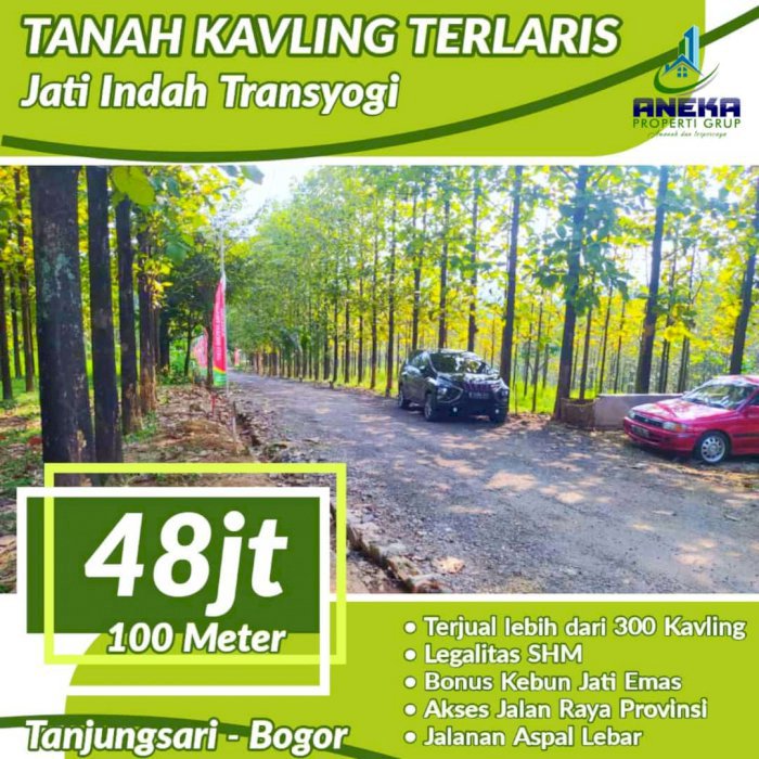 DIJUAL CEPAT TANAH MURAH SHM PINGGIR JALAN PROVINSI ADA POHON JATINYA