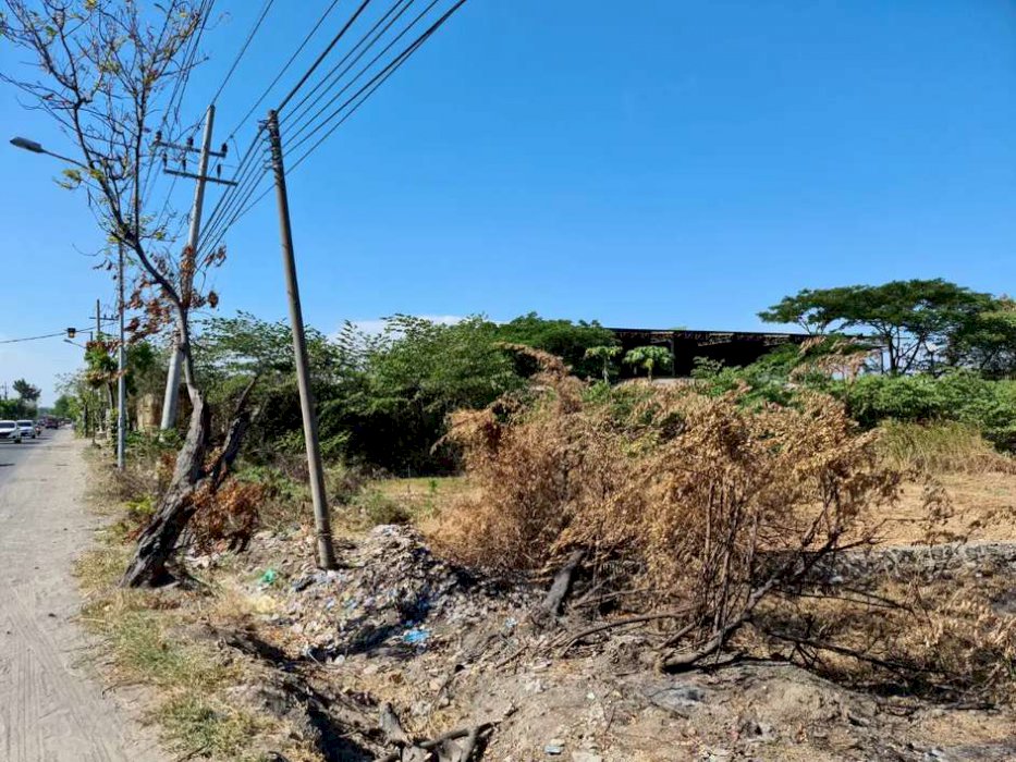 Tanah Luas & Lokasi Strategis di Jalan Raya Bringkang Kabupaten Gresik