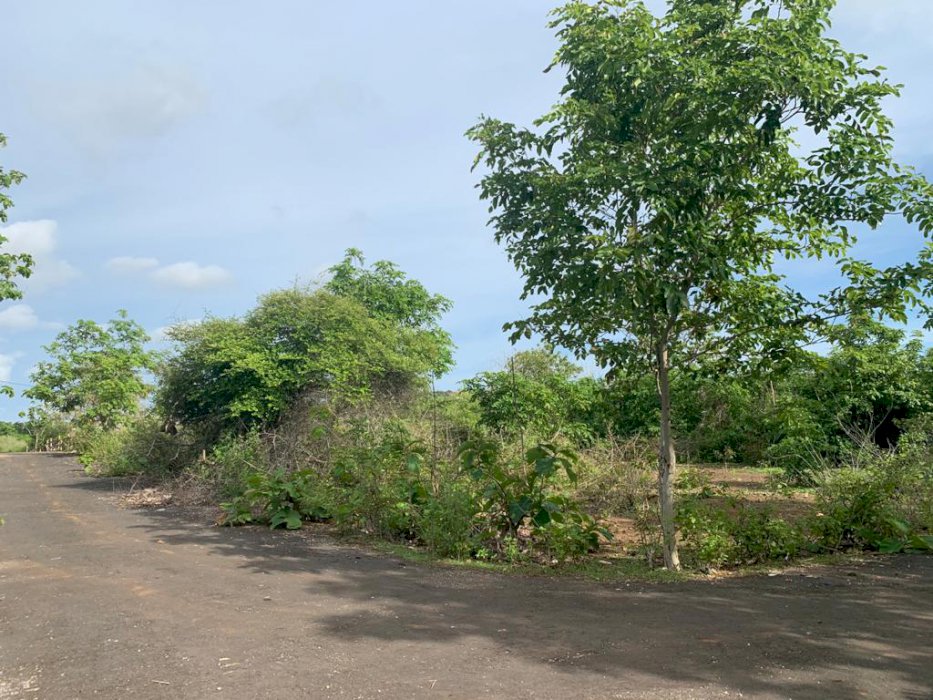 Tanah Langka Full View Balangan Beach