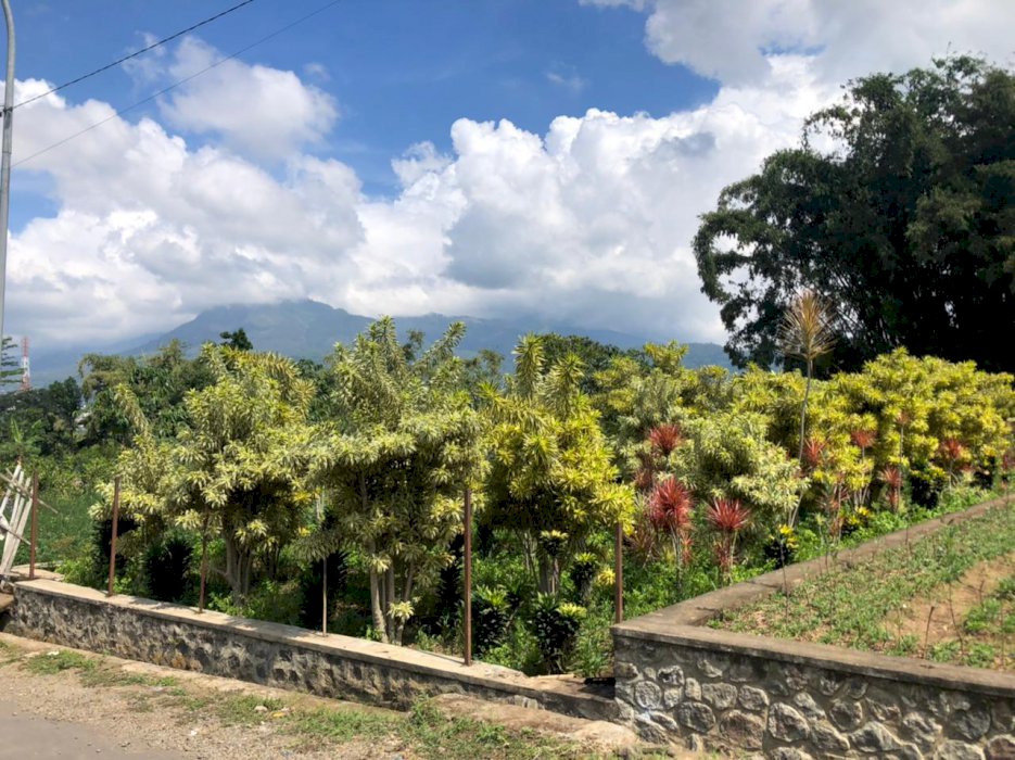 BU: TANAH KAVLING MURAH, LOKASI DEKAT SELECTA BATU