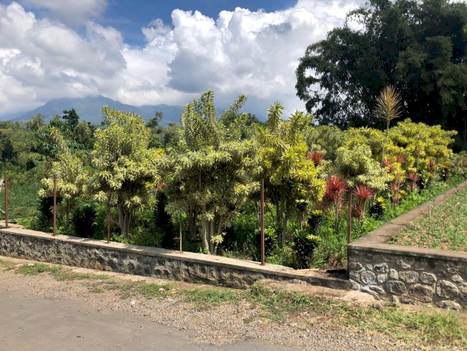 TANAH SIAP BANGUN, LOKASI SELECTA KOTA BATU. PERUNTUKAN VILLA