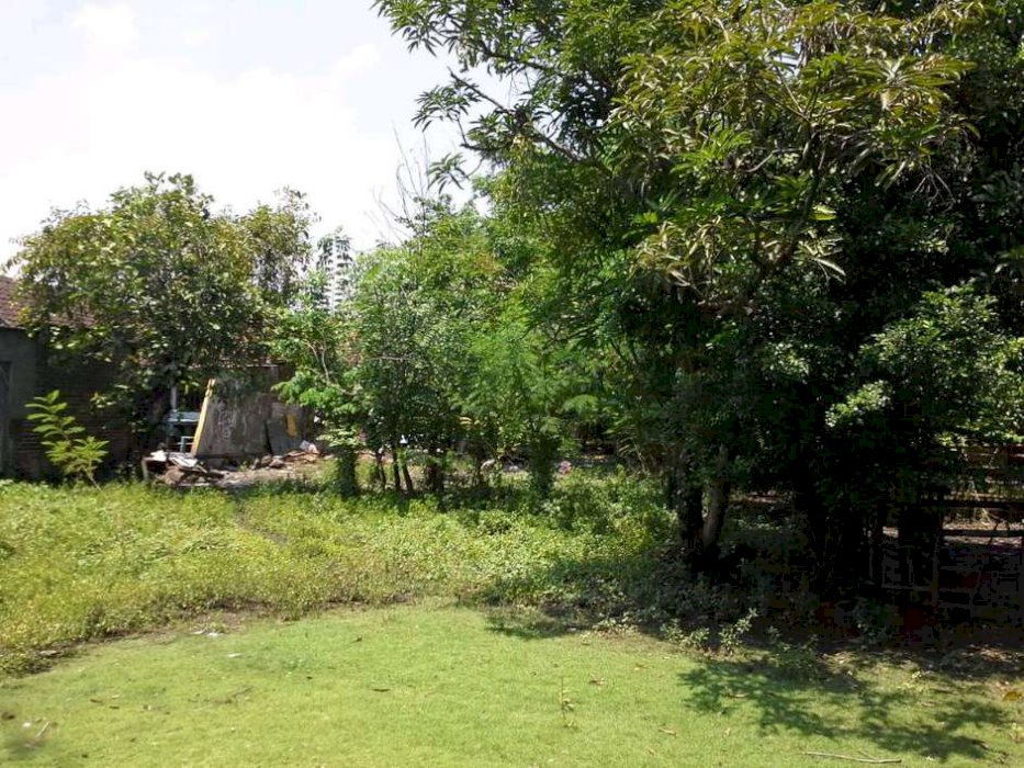 Tanah Luas Bonus Rumah di Nol Jalan Raya Kemiri, Kabupaten Sidoarjo