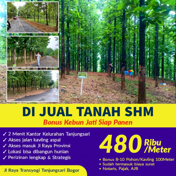 Dijual Tanah Murah Strategis Kavling Djati Indah Transyogi Pasir Tanjung Bogor