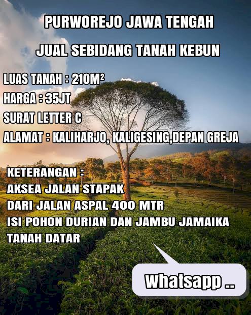 Tanah kebun dijual murah kaliharjo,kaligesing_Purworejo