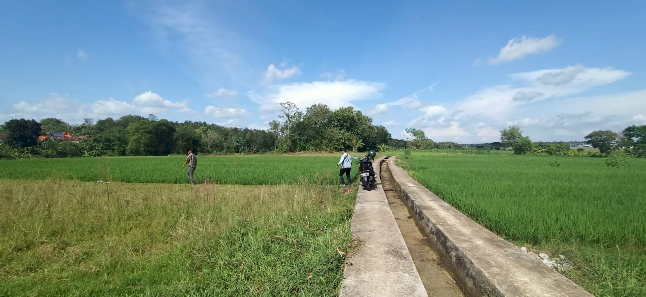 Tanah sawah dijual murah sumbersari, banyuurip_purworejo