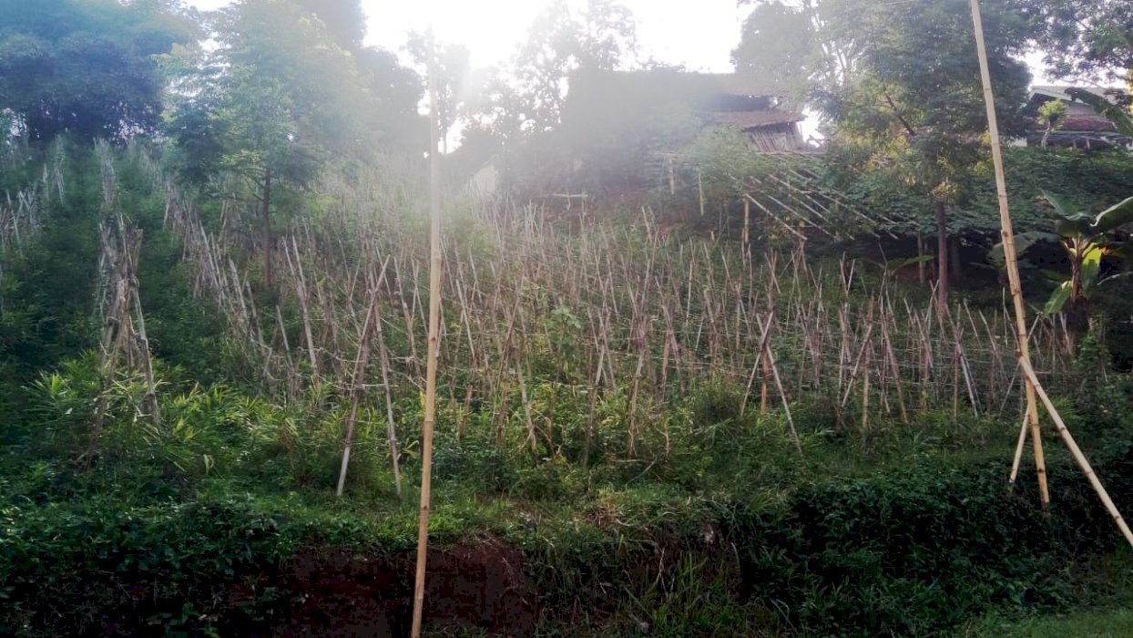 Dijual Tanah Strategis di Cempaka, Soreang