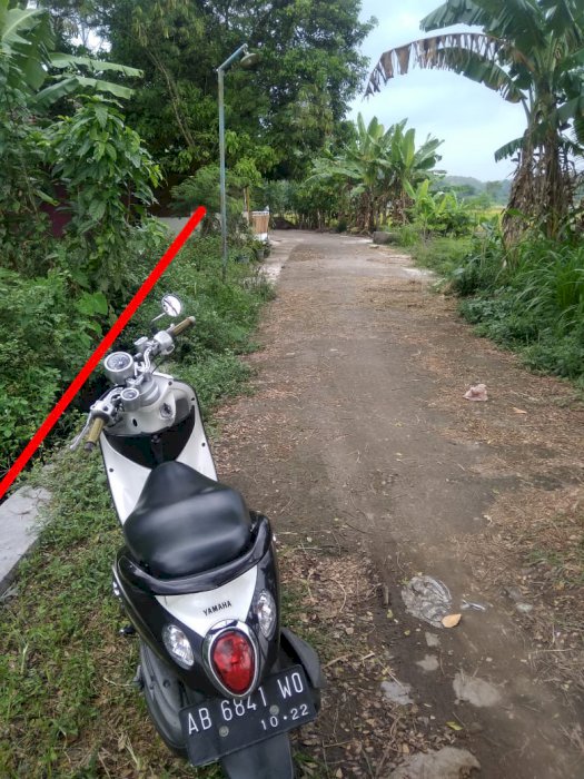 Tanah Bagus Bisa Buat Kavlingan Di Madurejo Prambanan Sleman