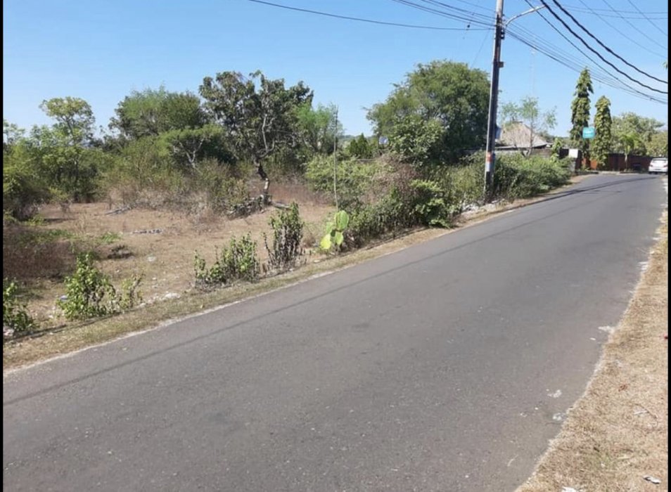 LAND ONLY 2 KM FROM BALANGAN BEACH 1 HA