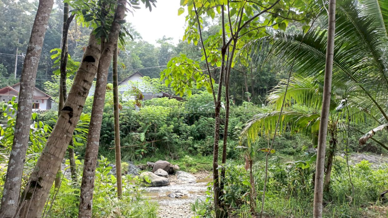 Tanah kebun dijual murah kaliharjo,purworejo