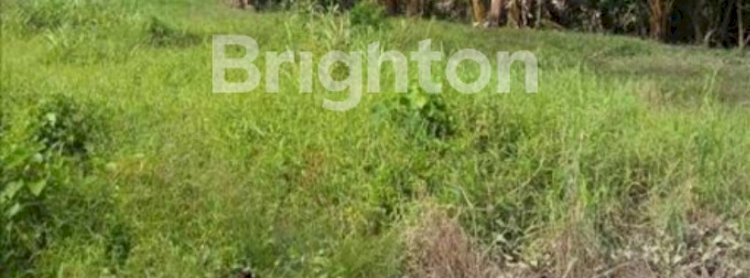 SIAP BNAGUN Tanah Kavling Wisata Bukit Mas 1 BISA NEGOO