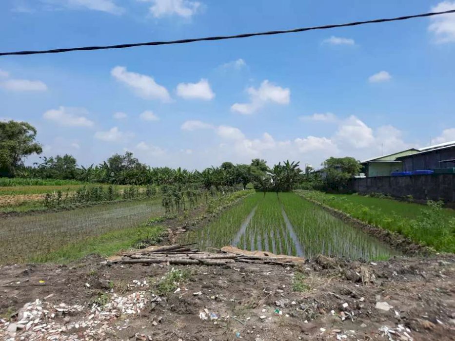 Tanah Prospektif Lokasi Strategis di Jalan Raya Kedamean, Kabupaten Gresik