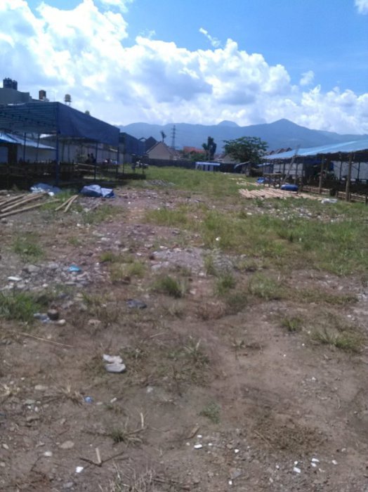 Tanah matang cocok untuk cluster cingised antapani bandung