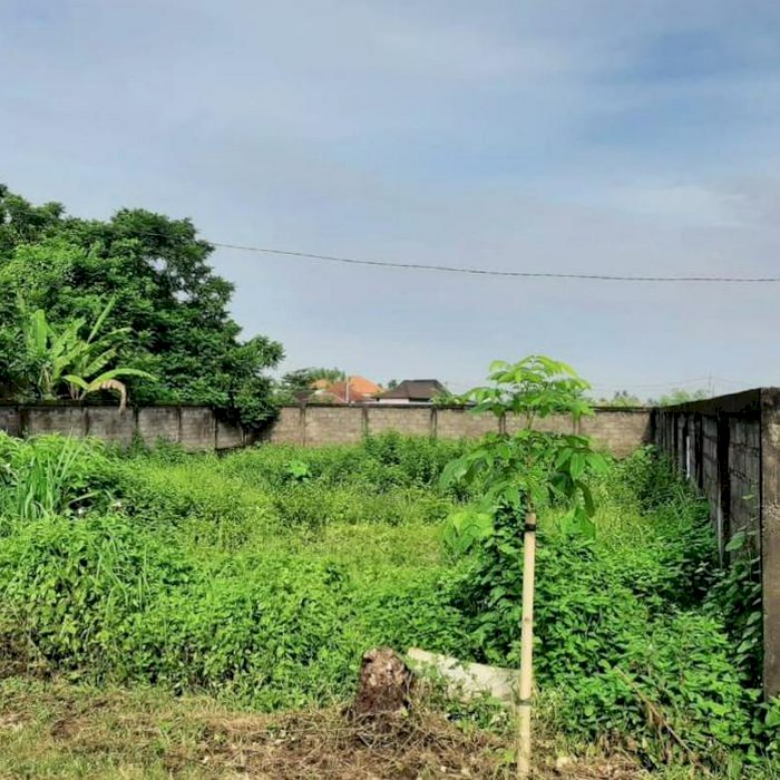 TAHAN MURAH DI TIBUBENENG CANGGU HANYA 550 JT/ ARE