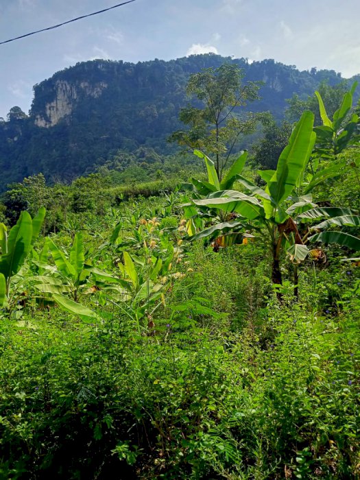 Dijual Tanah Murah Untuk Investasi, Villa 70 RIBU/METER Di Klapanunggal Bogor