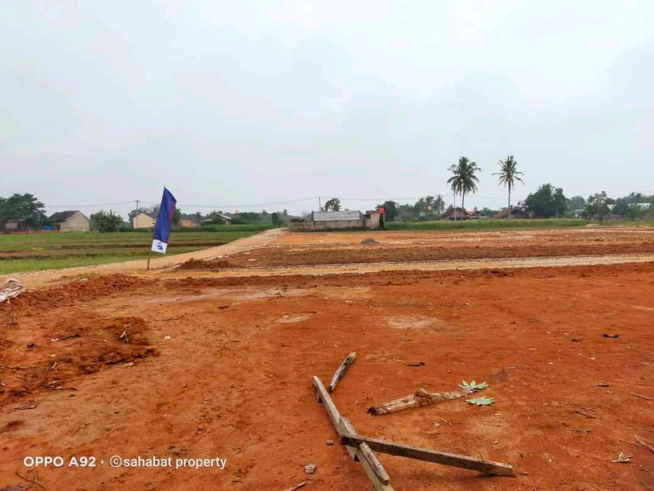 Kavling syaruah citra mandiri property 9