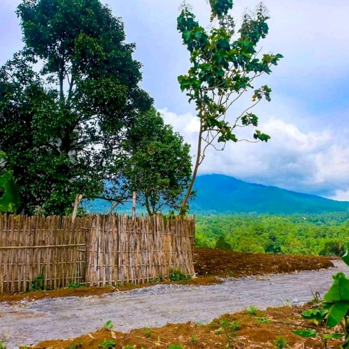 Tanah kavling ar ridho 6